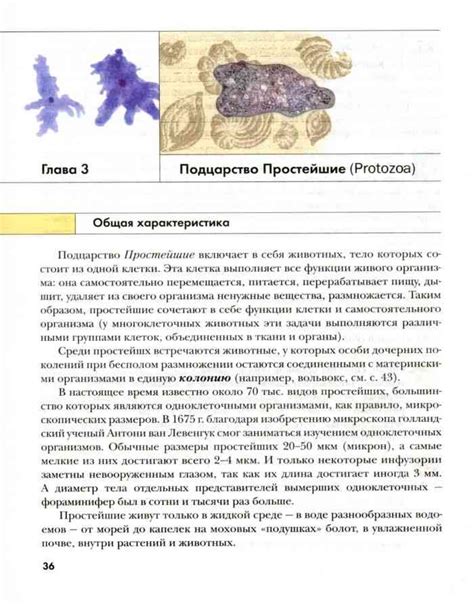 Учебник биология 7 класс Константинов читать онлайн