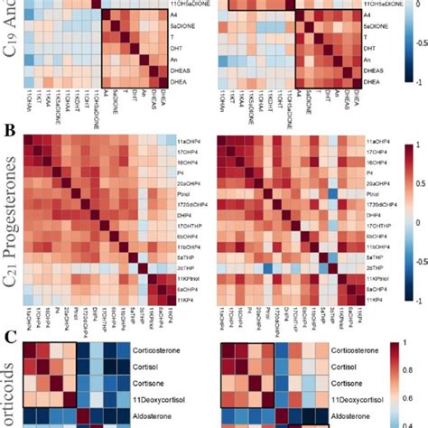 Correlation Heat Maps Showing Spearmans Rank Correlation Coefficient