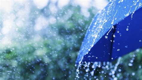 Erst Sonne dann Gewitter So wird das Wetter in Südtirol Chronik