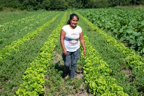 Farming In South America