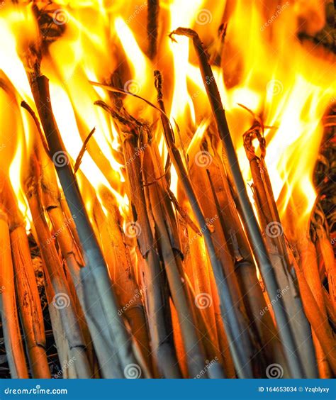 Fogo De Palha Significado - Chama De Fogo De Palha a Arder Foto de Stock - Imagem de seco, lareira ...