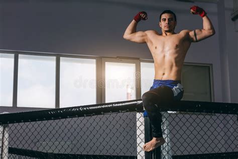 Kickbox Professional Fighter With Naked Muscular Torso Posing For A Camera Stock Photo Image