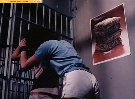 Alley Cat Story Nylon Porn XHamster