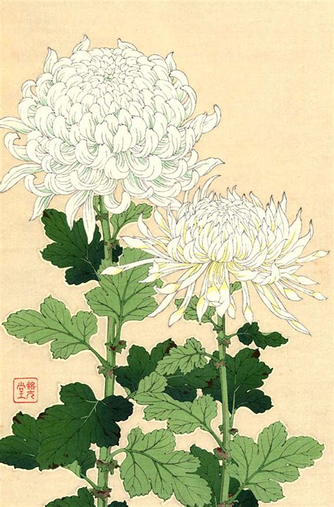 Japanese Art Flowers Floral Botanical Art Prints White Etsy In 2021