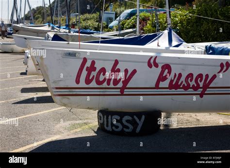 The Itchy Pussy Stock Photo Alamy