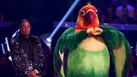 Take A Moment Say Your Goodbyes Masked Singer Lovebird Is