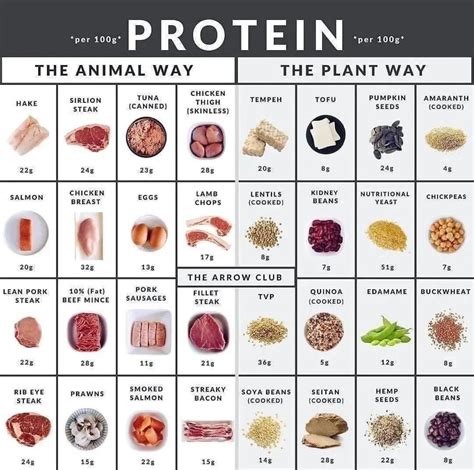 Printable Protein Chart Printable Free Templates