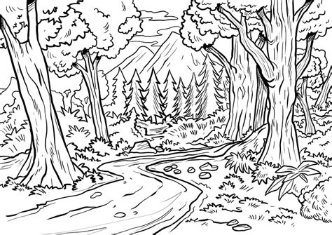 Desenho De Floresta Para Imprimir - RETOEDU