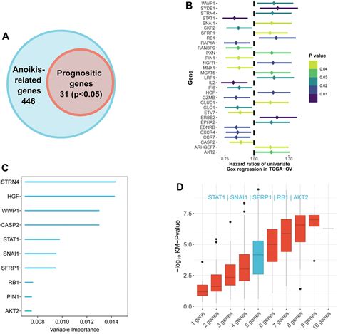 Development And Validation Of A Novel Anoikis Related Gene Signature