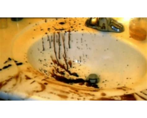 Experts Debate: The Significance of the Jodi Arias Crime Scene Photos - kcysjg4