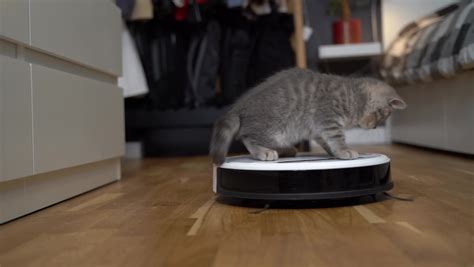 Vacuum machine Stock Video Footage - 4K and HD Video Clips | Shutterstock