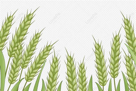 Field Of Wheat Clipart Photo