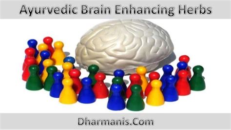 Ayurvedic Brain Enhancing Herbs