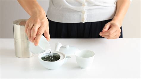 Sencha (Japanese green tea) – BALMUDA USA