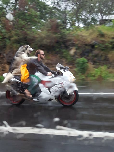 Riders In The Storm Qivanaore 4