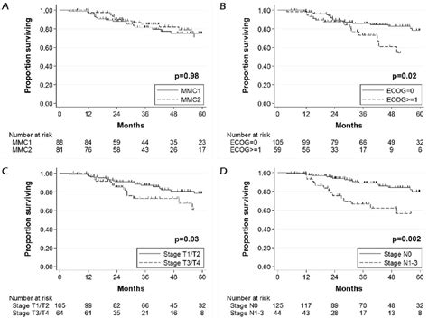 Overall Survival Of Patients With Anal Canal Carcinoma Treated With