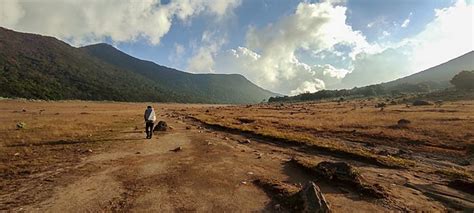 7 Fakta Menarik Gunung Gede Pangrango