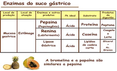 Função Do Suco Gastrico - MAPA MENTAL SOBRE SUCO GÁSTRICO - Maps4Study