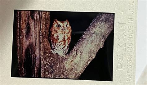 retro     day  mcguire nuclear station duke energy