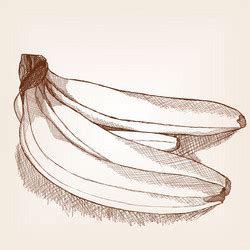 Banana bunch engraving sketch Royalty Free Vector Image