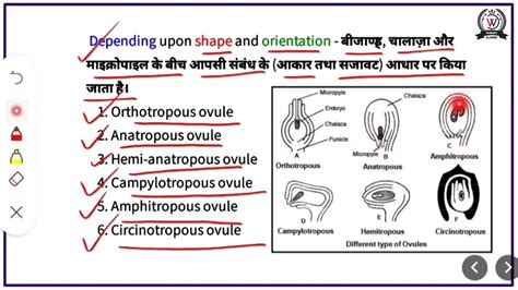 Ovule Structure And Type Orthotropous Anatropous Hemianatropous