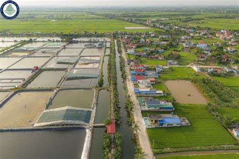 khu cong nghiep san bay tien lang khu  nam  dau