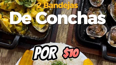 Conchas Asadas Youtube