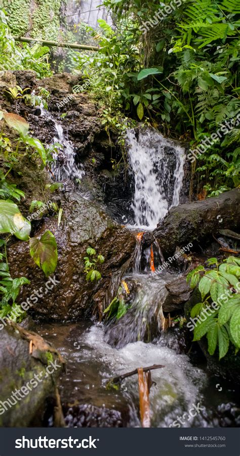 natural water source nature stock photo  shutterstock