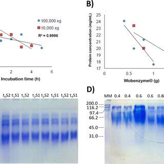 Pdf Antimicrobial And Anticarcinogenic Activity Of Bioactive Peptides