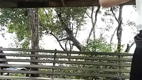 Mena Free Gay Amateur Hd Videos Porn Video A Xhamster