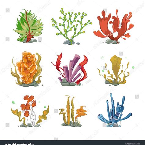 how to draw seaweed 8