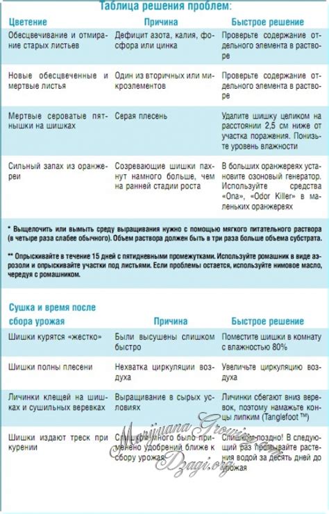 Обнаружение и Решение проблем / Библия гровера (Краткое содержание ...