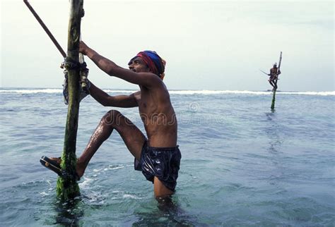 SRI LANKA WELIGAMA FISHERMEN Editorial Photo Image Of Coast Indian