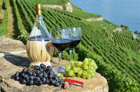 italian wine