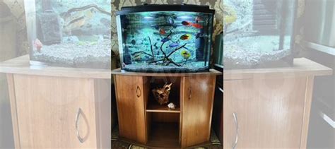 Аквариум с тумбой купить в Джанкое | Животные и зоотовары | Авито