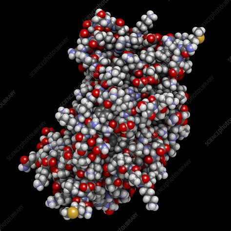interferon gamma molecule illustration stock image