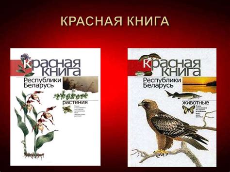 Красная книга Республики Беларусь - online presentation