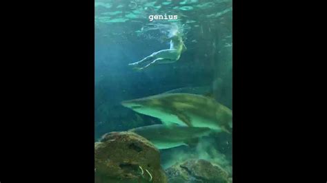 Toronto Man Swims In Shark Tank Hot Sale Emergencydentistry