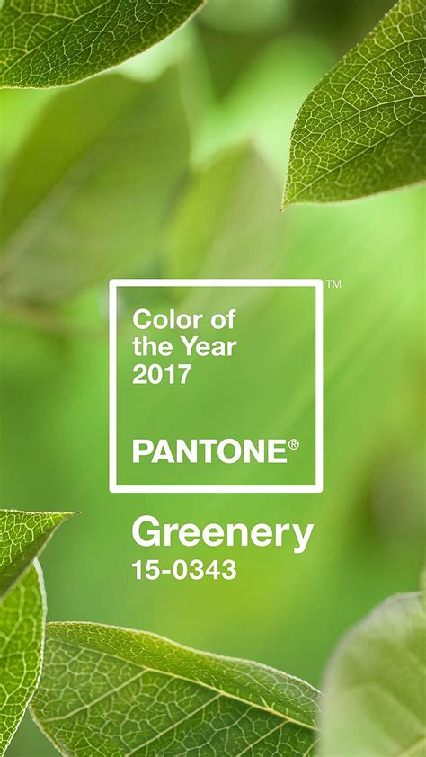 Pantone Hd Wallpaper Pxfuel