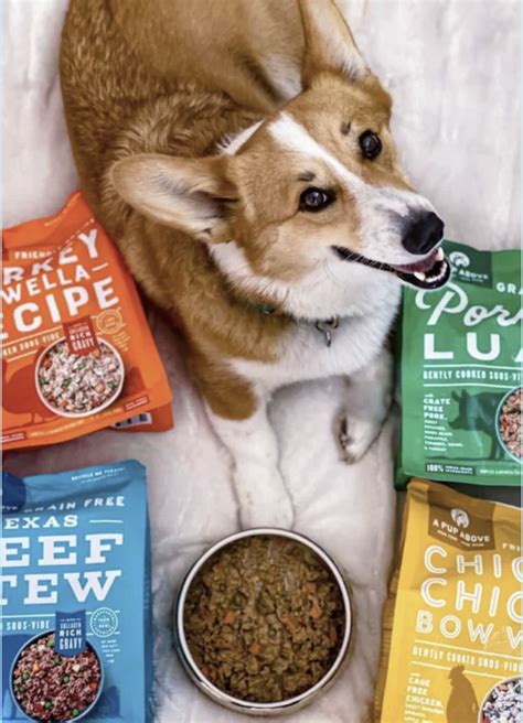 4 Vet-Approved Homemade Dog Food Recipes Your Pup Will Love - Rocky Kanaka
