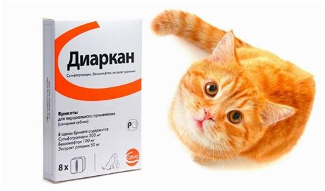 Диаркан для кошек: инструкция по применению