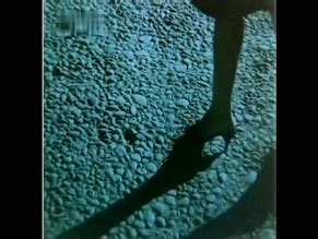 Zuhal Olcay Nude Aznude