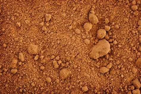 improving clay soil thriftyfun