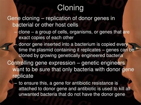 Ppt Cloning Powerpoint Presentation Free Download Id 3749684