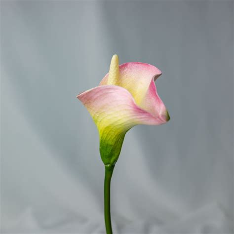 Yellow Pink Mini Calla Lily Realistic Artificial Flowers