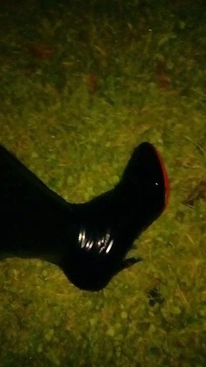 W Legginsach I Kozakach Shemale Ladyboy Ladyboy Porn XHamster