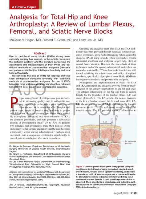 Analgesia For Total Hip And Knee Arthroplasty A Review Of Lumbar