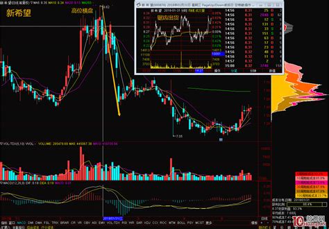 筹码分布看主力持仓成本，与主力出逃见顶特征（图解） 拾荒网专注股票涨停板打板技术技巧进阶的炒股知识学习网