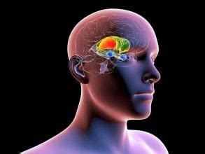 Why the Memory of Fear Is Seared Into Our Brains - Neuroscience News 