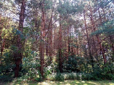 Doogee S55 Review - Quite A Good Rugged Phone With Some Flaws - Gizmochina